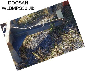 DOOSAN WLBMPS30 Jib