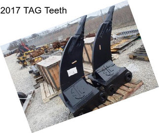 2017 TAG Teeth