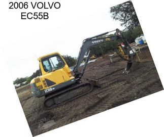 2006 VOLVO EC55B