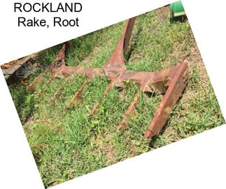 ROCKLAND Rake, Root