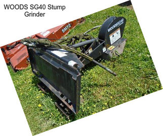 WOODS SG40 Stump Grinder