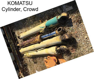 KOMATSU Cylinder, Crowd