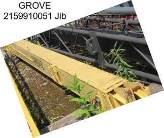 GROVE 2159910051 Jib