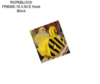 ROPEBLOCK FRB360.19.3.50.E Hook Block