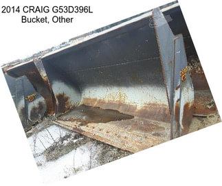 2014 CRAIG G53D396L Bucket, Other