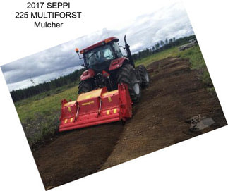 2017 SEPPI 225 MULTIFORST Mulcher