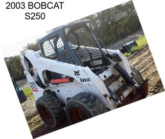 2003 BOBCAT S250