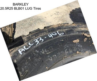 BARKLEY 20.5R25 BLB01 LUG Tires