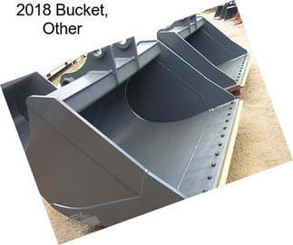 2018 Bucket, Other