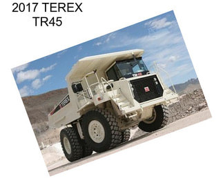 2017 TEREX TR45