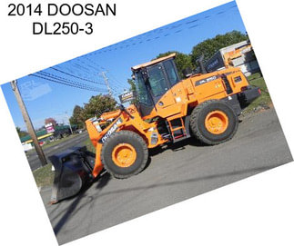 2014 DOOSAN DL250-3