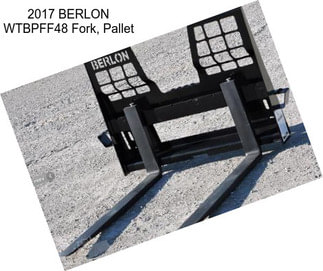 2017 BERLON WTBPFF48 Fork, Pallet