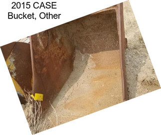 2015 CASE Bucket, Other