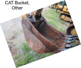 CAT Bucket, Other