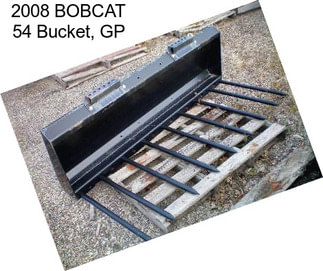 2008 BOBCAT 54 Bucket, GP