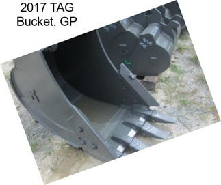 2017 TAG Bucket, GP