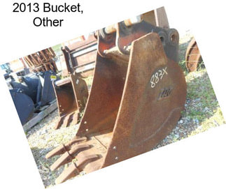 2013 Bucket, Other