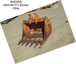 BADGER 32831481771 Bucket, Other