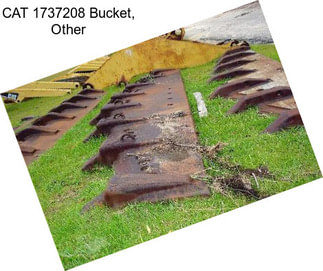 CAT 1737208 Bucket, Other