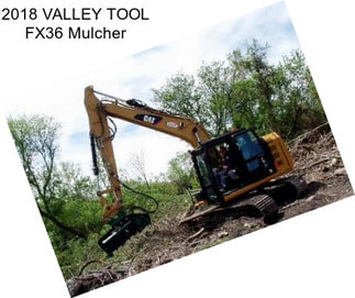 2018 VALLEY TOOL FX36 Mulcher