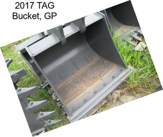 2017 TAG Bucket, GP