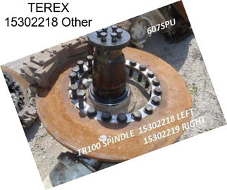 TEREX 15302218 Other