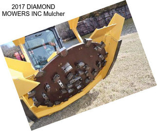 2017 DIAMOND MOWERS INC Mulcher