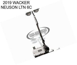 2019 WACKER NEUSON LTN 6C