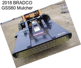 2018 BRADCO GSS60 Mulcher
