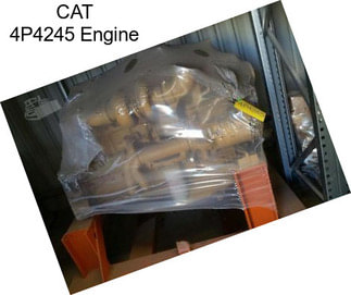 CAT 4P4245 Engine