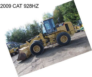 2009 CAT 928HZ