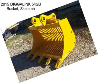 2015 DIGGALINK 54SB Bucket, Skeleton