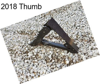 2018 Thumb