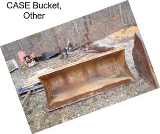 CASE Bucket, Other