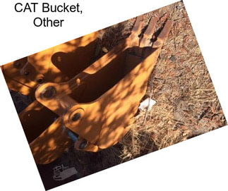 CAT Bucket, Other