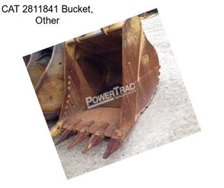 CAT 2811841 Bucket, Other