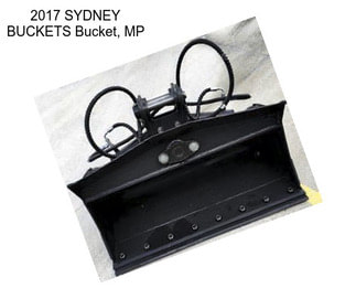 2017 SYDNEY BUCKETS Bucket, MP