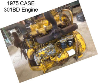 1975 CASE 301BD Engine