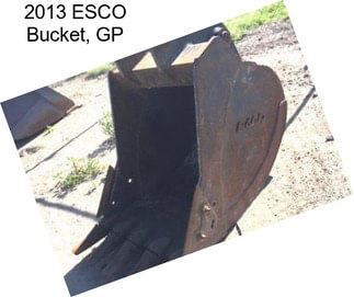 2013 ESCO Bucket, GP