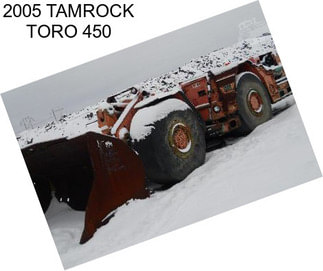 2005 TAMROCK TORO 450