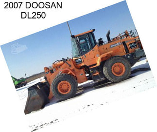 2007 DOOSAN DL250