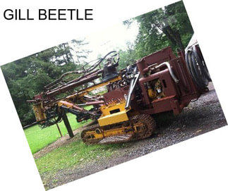 GILL BEETLE