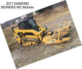 2017 DIAMOND MOWERS INC Mulcher