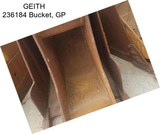 GEITH 236184 Bucket, GP