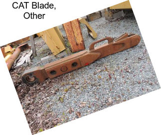 CAT Blade, Other