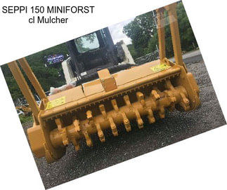 SEPPI 150 MINIFORST cl Mulcher