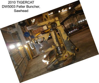 2010 TIGERCAT DW5003 Feller Buncher, Sawhead