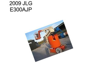 2009 JLG E300AJP