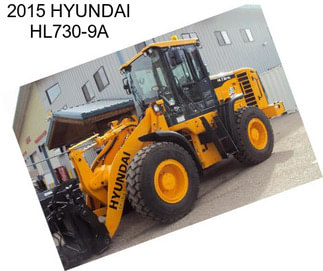 2015 HYUNDAI HL730-9A