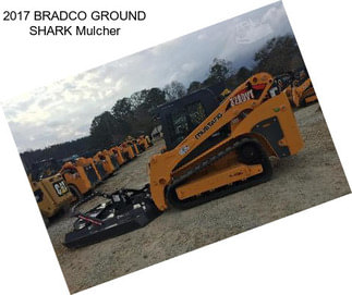 2017 BRADCO GROUND SHARK Mulcher